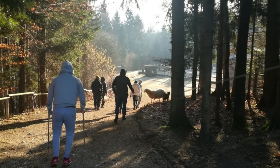 NA RANČU KAJA IN GROM SE IMAMO VEDNO SUPER - SPOMIN NA TABOR (ZAPIS UDELEŽENKE) 2/2
