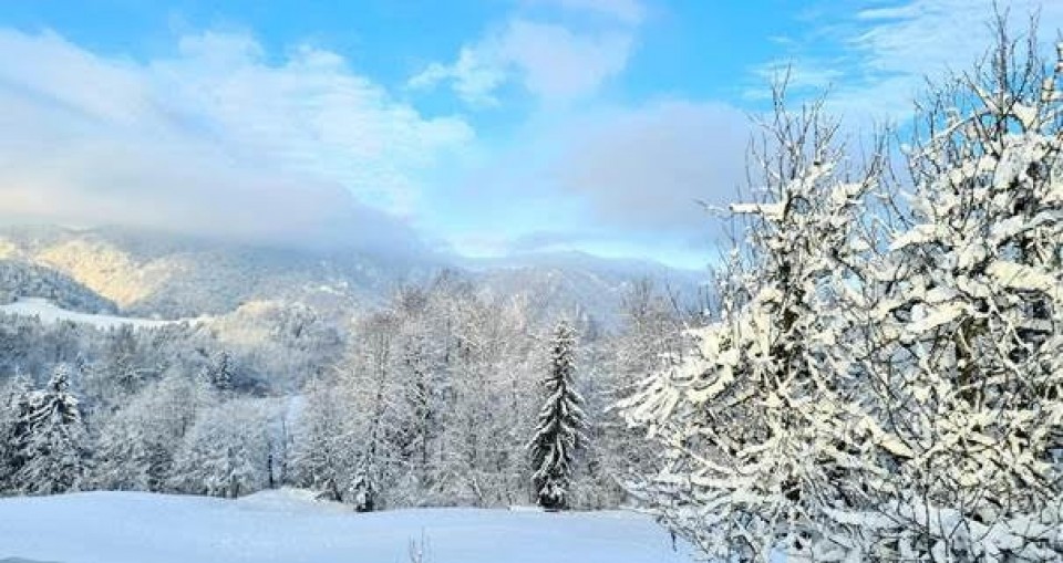 Voščilo ob zaključku leta
