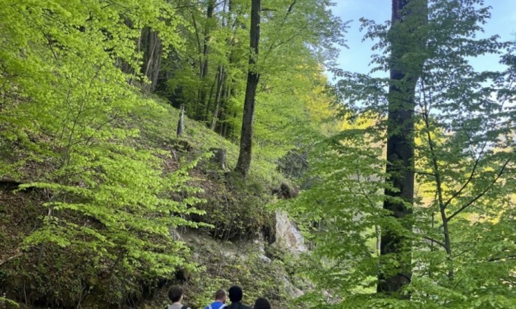 DPČ hribolazenje - Izlet na Polhograjsko Grmado