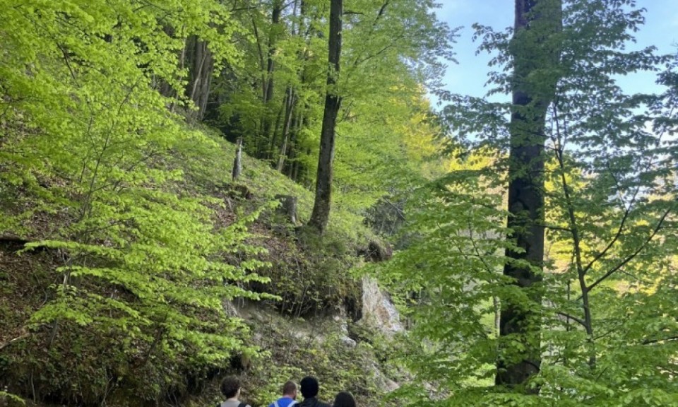 DPČ hribolazenje - Izlet na Polhograjsko Grmado